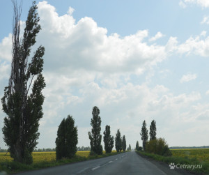 Дорога на юг